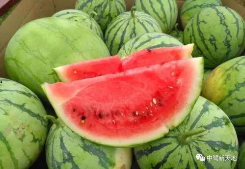 今日在线吃瓜,娱乐圈新鲜事大盘点